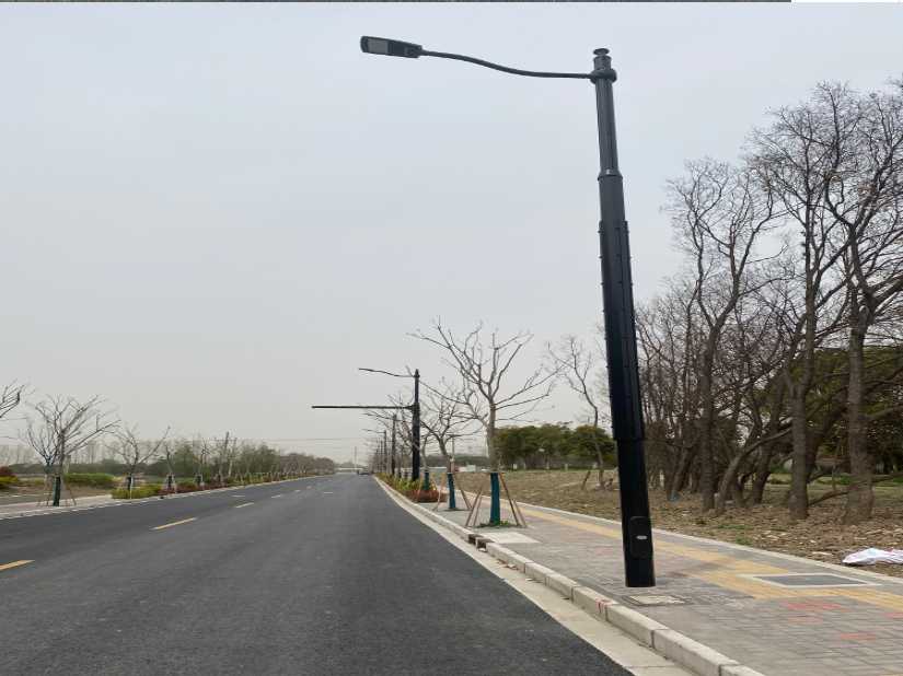 西充县上海综合杆 太阳能路灯工程